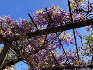 画像 -20250418-061708-e774c3b7