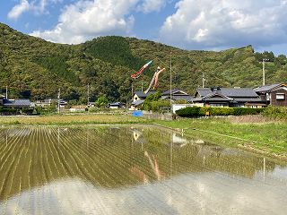 画像 -20250418-064517-e984cfa5