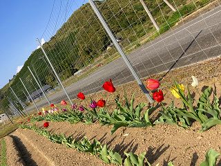 画像 -20250418-072559-7ded0375